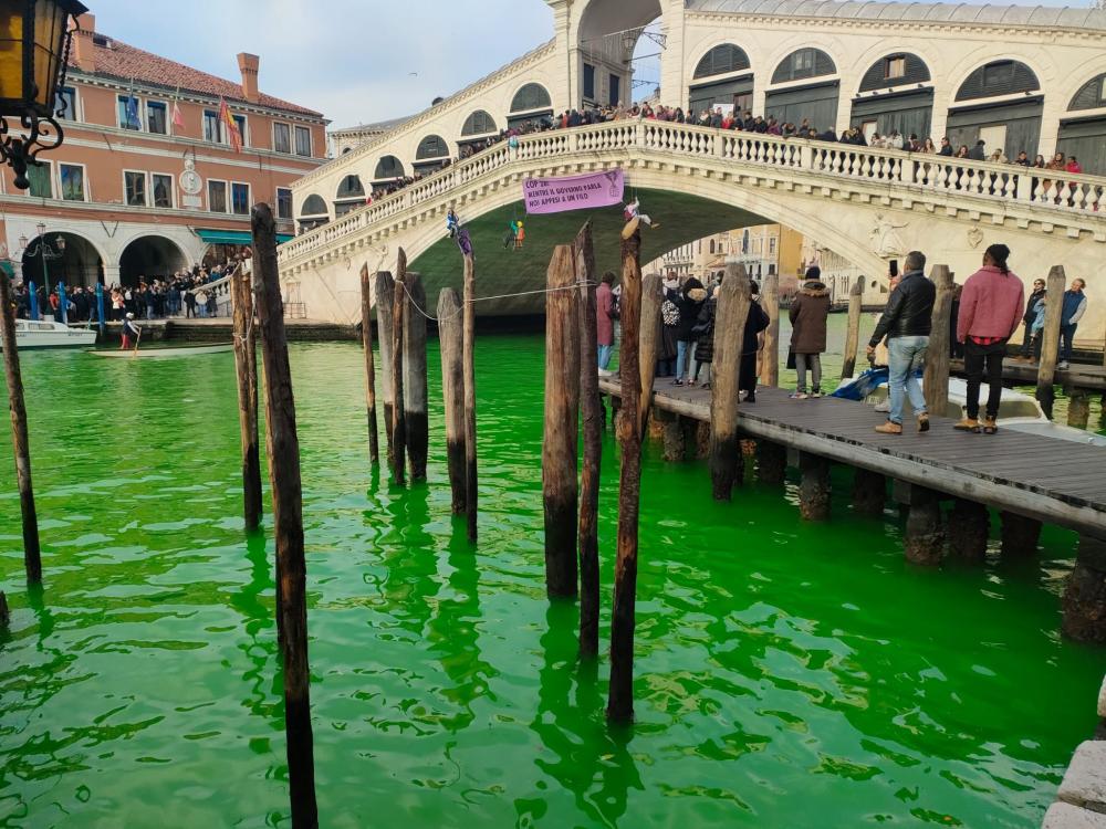 威尼斯大运河被染绿